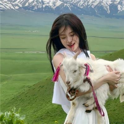 名侦探柯南：黑铁的鱼影